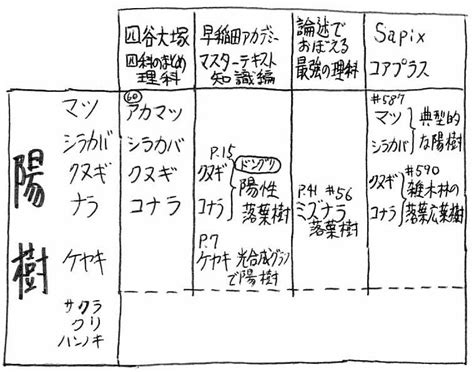 陽木|陽樹（ようじゅ）とは？ 意味・読み方・使い方をわかりやすく。